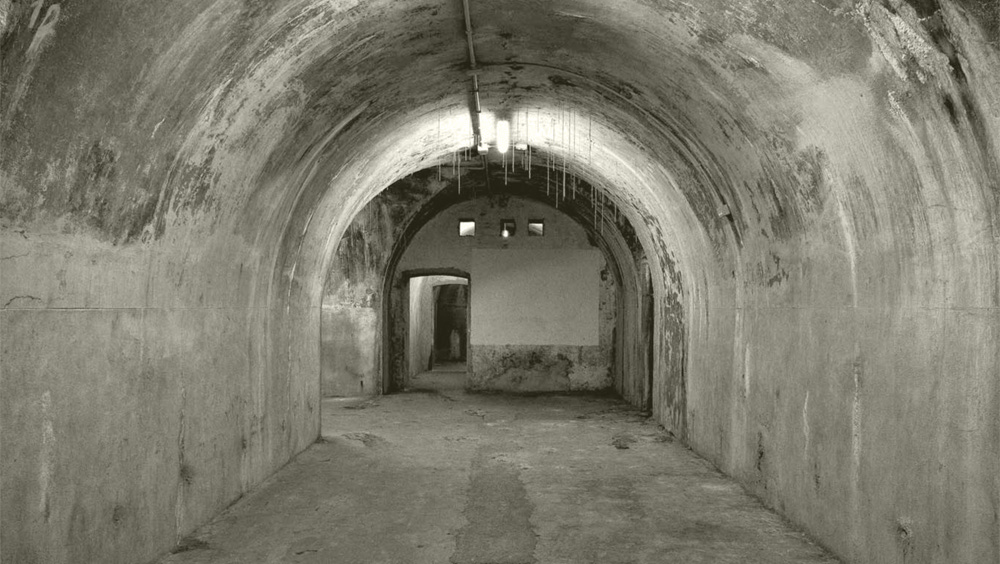 TunnelNeutralColor